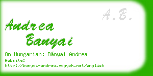 andrea banyai business card