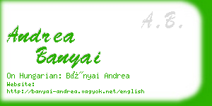 andrea banyai business card